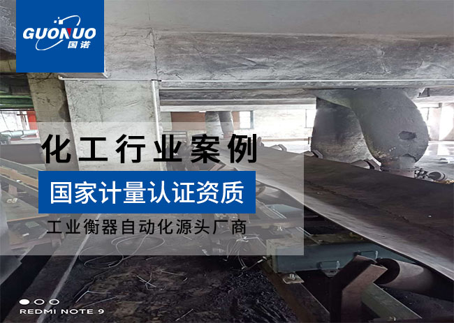 廣東思新ICS-14型皮帶秤項(xiàng)目