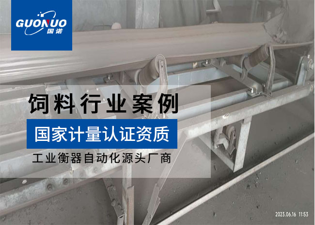 汝州市坤和生物ICS-17A皮帶秤項(xiàng)目