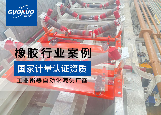 青島億朗橡膠ICS-30皮帶秤項目