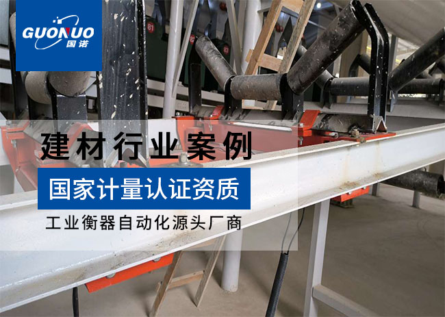 海螺水泥廠單組高精度皮帶秤項(xiàng)目