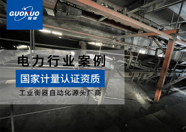 臨渙電廠皮帶秤項(xiàng)目