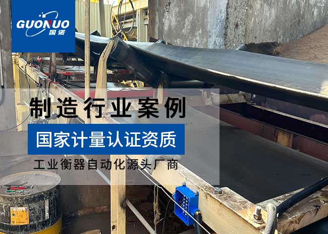 大亞人造板ICS-30皮帶秤項(xiàng)目