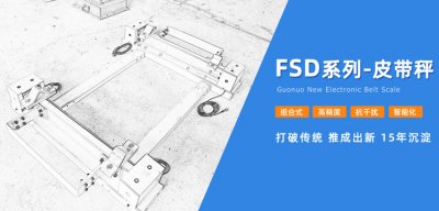 創(chuàng)新技術(shù)引領(lǐng)稱重皮帶秤發(fā)展，國諾信科如何突破重圍